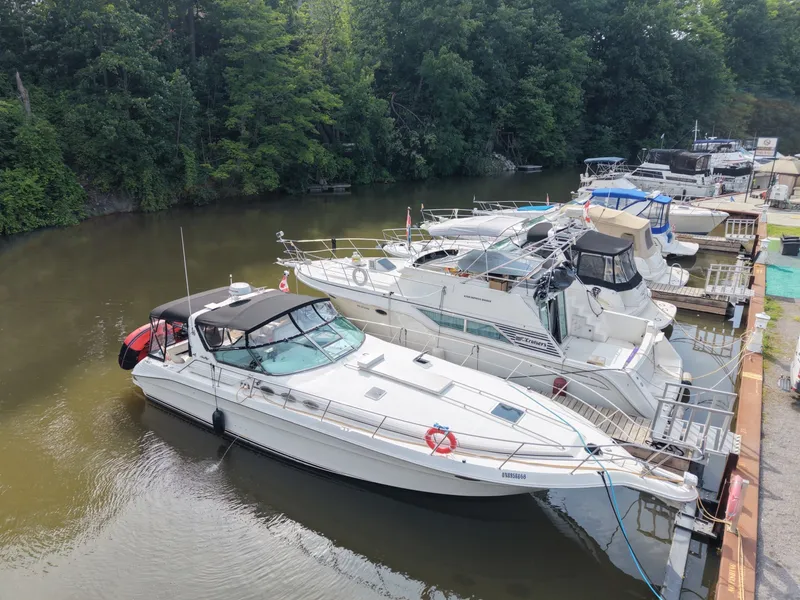 The Image of 1998 Sea Ray 400 Express - 7839649