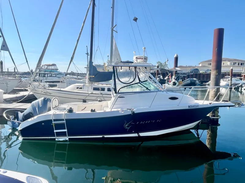 The Image of 2007 Seaswirl Striper 2301 - 7839937