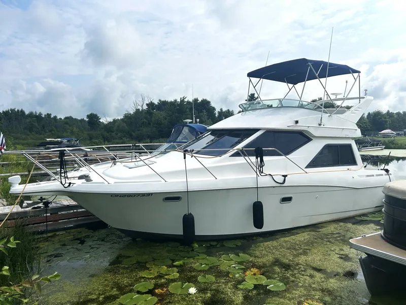 The Image of 2001 Bayliner 3258 - 7840456