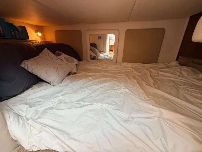Slide: The Image of 2008 Sea Ray 290 Sundancer - 7841215