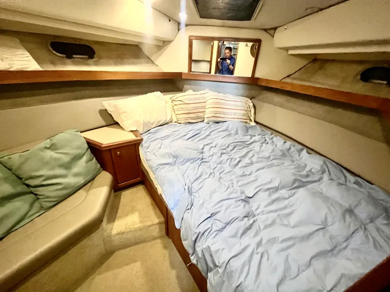 Slide: The Image of 1995 Striper 3587 - 7841505