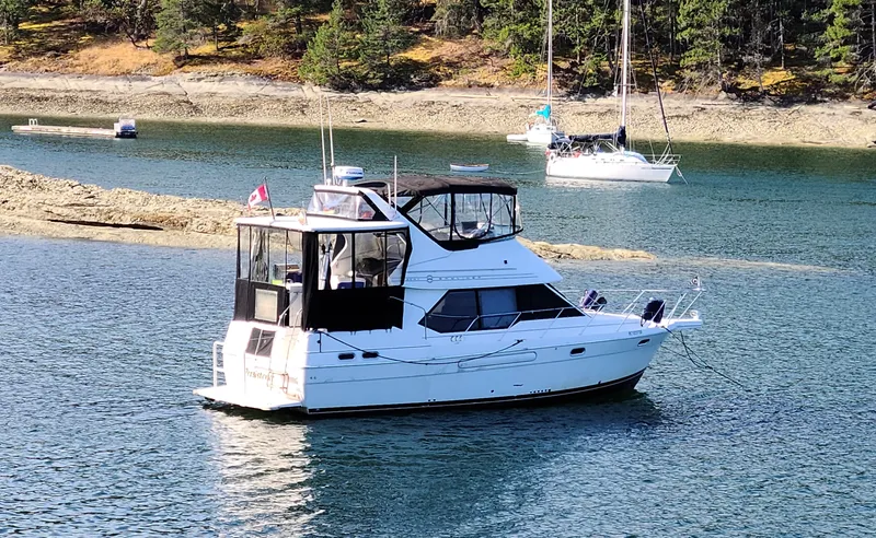 The Image of 1995 Striper 3587 - 7841470