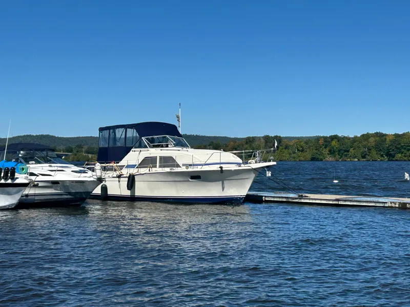 The Image of Chris-Craft Catelina 350 1976 - undefined
