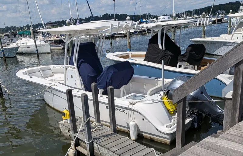 The Image of Sea Fox 248 Commander 2020 - 7924467
