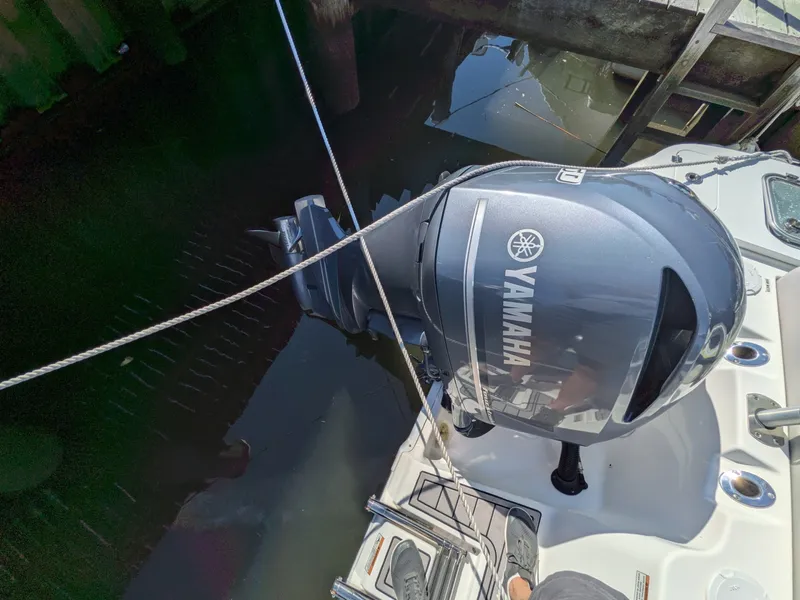 Slide: The Image of Sea Fox 248 Commander 2020 - 7924500