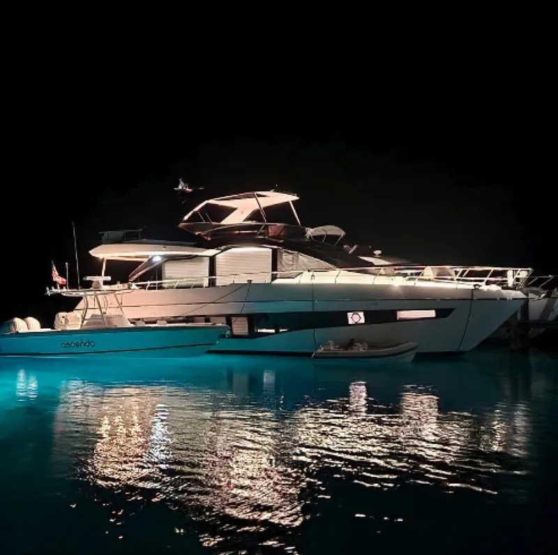 Slide: The Image of Astondoa Fly 2022 - 7925274