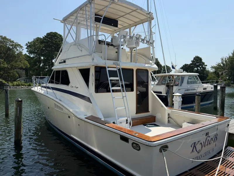 The Image of Chris-Craft 42 1986 - 7930388
