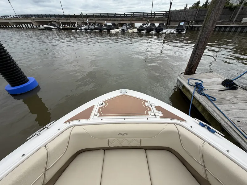Slide: The Image of Regal LS6 2019 - 7930893