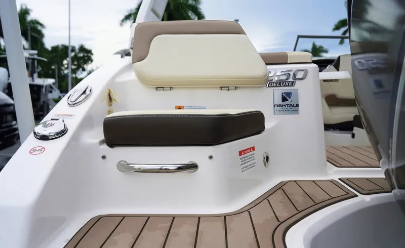 Slide: The Image of Chaparral 250 Suncoast 2020 - 7935846