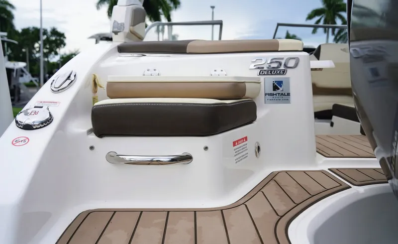 Slide: The Image of Chaparral 250 Suncoast 2020 - 7935845