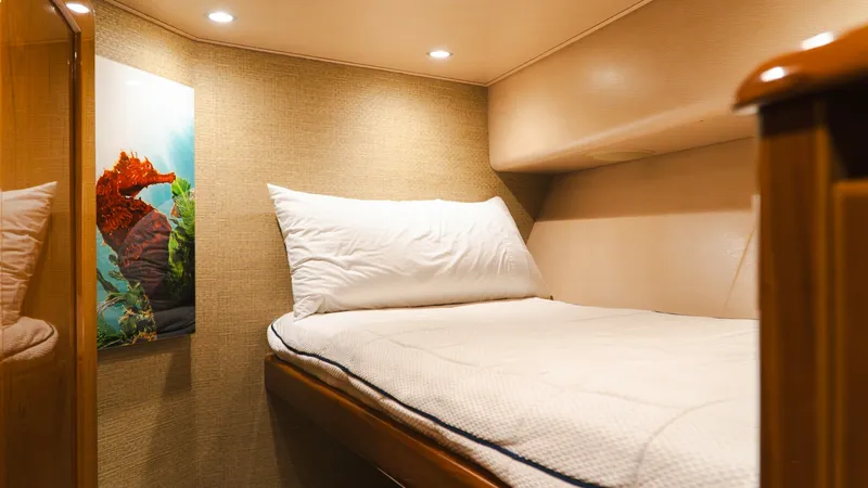 Slide: The Image of Cozy Guest Stateroom with Art This inviting guest stateroom features a comfortable single berth adorned with soft, high-quality linens. The warm, neutral tones of the walls and overhead storage create a cozy atmosphere, enhanced by recessed lighting. A vibrant piece of artwork adds a - 7943382