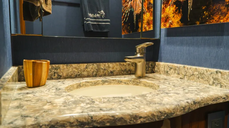 Slide: The Image of Luxurious Vanity in Guest Head This elegant vanity in the guest head showcases a beautifully veined marble countertop, complemented by a sleek, modern faucet. The rich blue walls are adorned with vibrant marine-themed art, creating a sophisticated and inviting atmosphere. Thoughtful to - 7943385