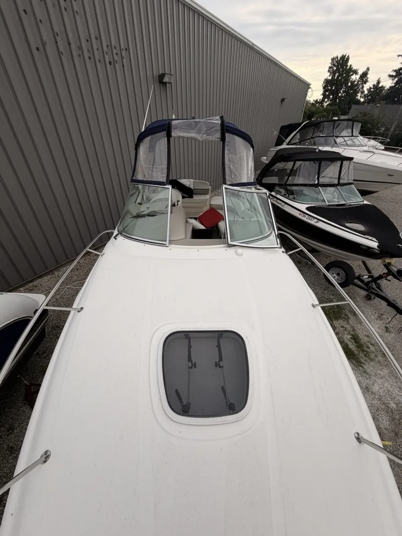 The Image of Sea Ray 260 Sundancer 2006 - 8169737