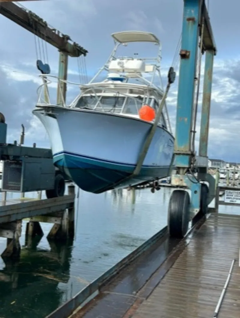 Slide: The Image of Hauled Out - 8036799