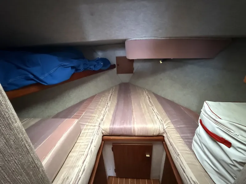 Slide: The Image of Bayliner 32 1987 - 7959716