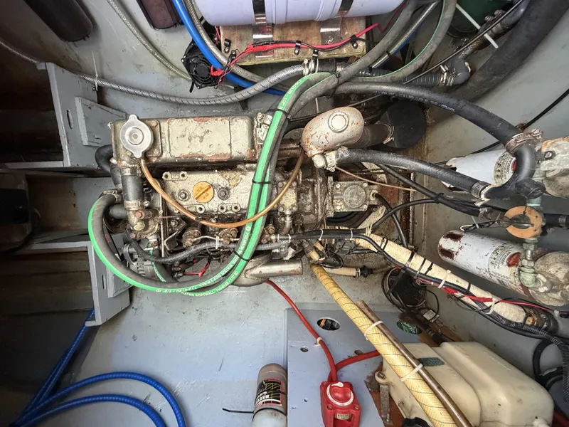 Slide: The Image of Other 43 1987 - 8034235