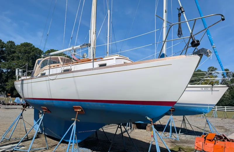 The Image of Morris 28 Linda 1987 - 8041492