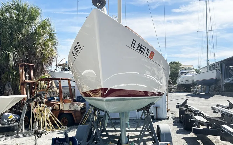 The Image of Alerion Express 2019 - 8045827