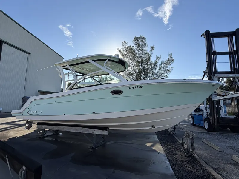 The Image of Robalo 31 2019 - 8045852