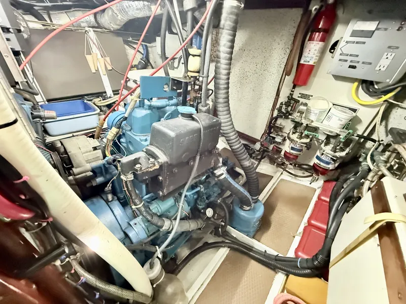 Slide: The Image of Colvin Gazelle 1996 - 8049877