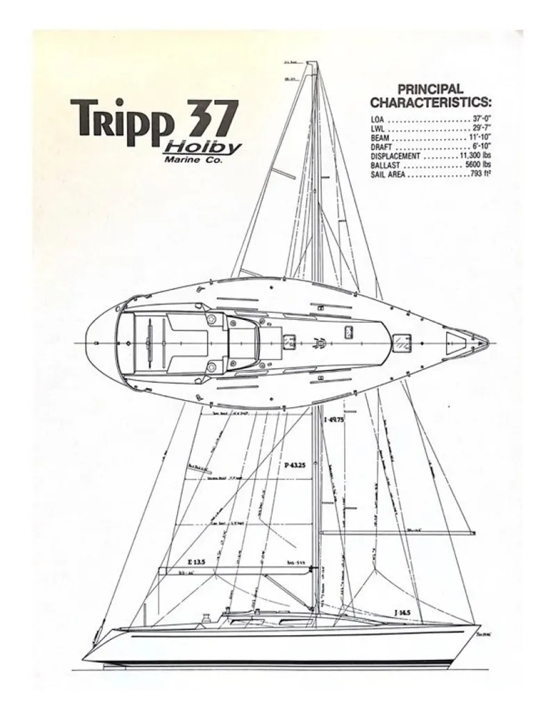 Slide: The Image of Tripp 37 1986 - 8051556