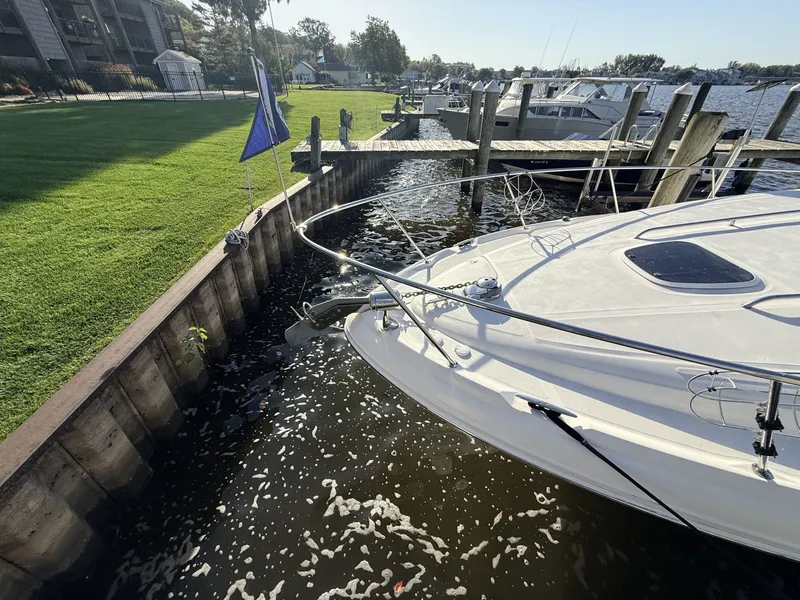 Slide: The Image of Sea Ray 34' Sundancer 2008 - 8054535