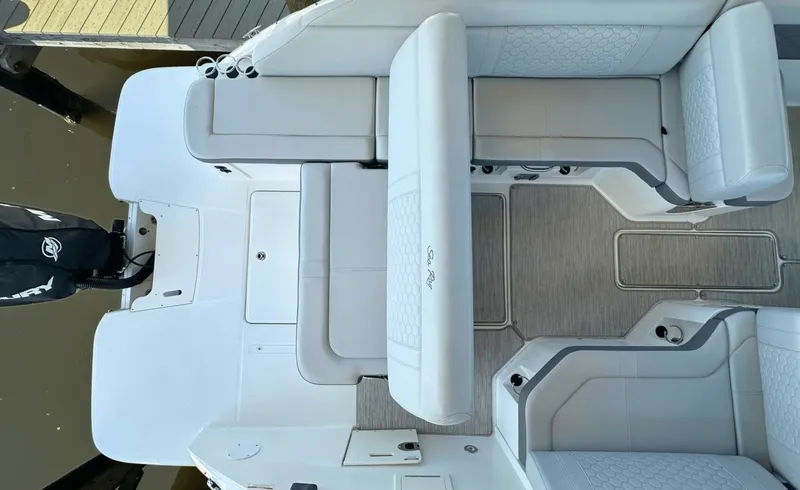 Slide: The Image of Sea Ray 250SDX 2021 - 8056092