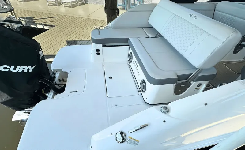 Slide: The Image of Sea Ray 250SDX 2021 - 8056094
