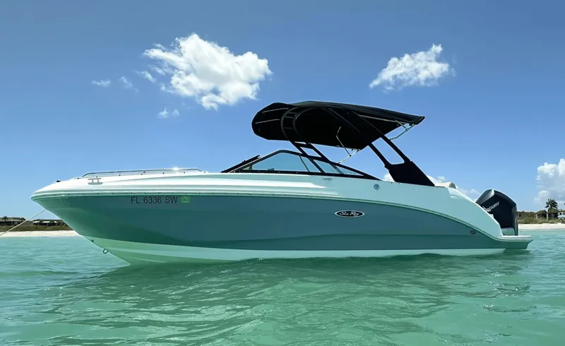 The Image of Sea Ray 250SDX 2021 - 8056018