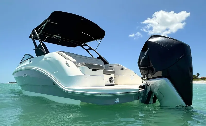 Slide: The Image of Sea Ray 250SDX 2021 - 8056072