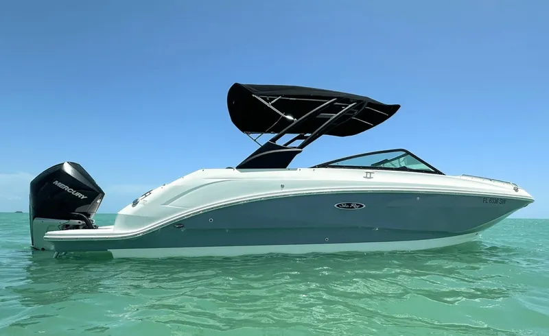 Slide: The Image of Sea Ray 250SDX 2021 - 8056067