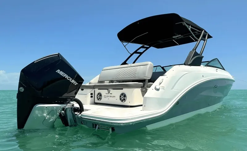 Slide: The Image of Sea Ray 250SDX 2021 - 8056074