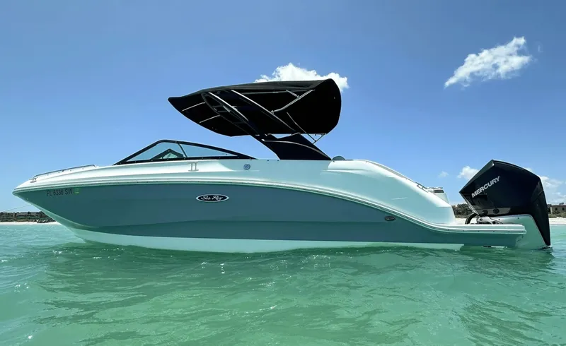 Slide: The Image of Sea Ray 250SDX 2021 - 8056065