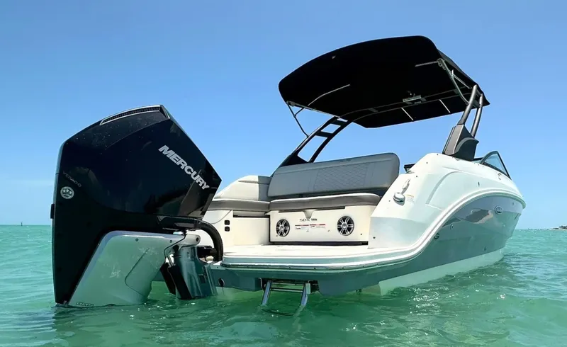 Slide: The Image of Sea Ray 250SDX 2021 - 8056070