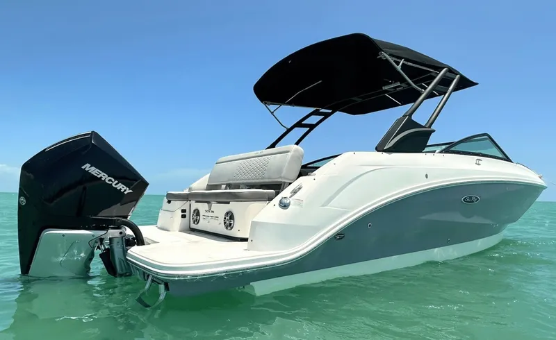 Slide: The Image of Sea Ray 250SDX 2021 - 8056068