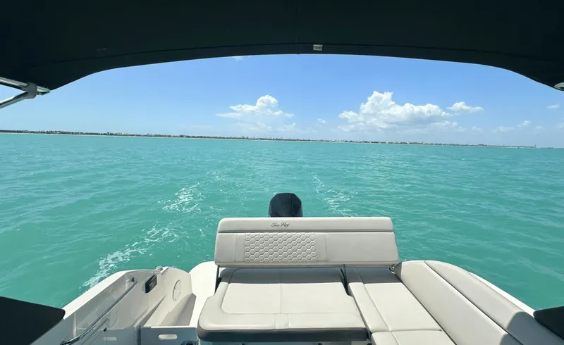 Slide: The Image of Sea Ray 250SDX 2021 - 8056098