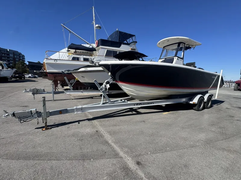 Slide: The Image of Pursuit 24 2018 - 8064802