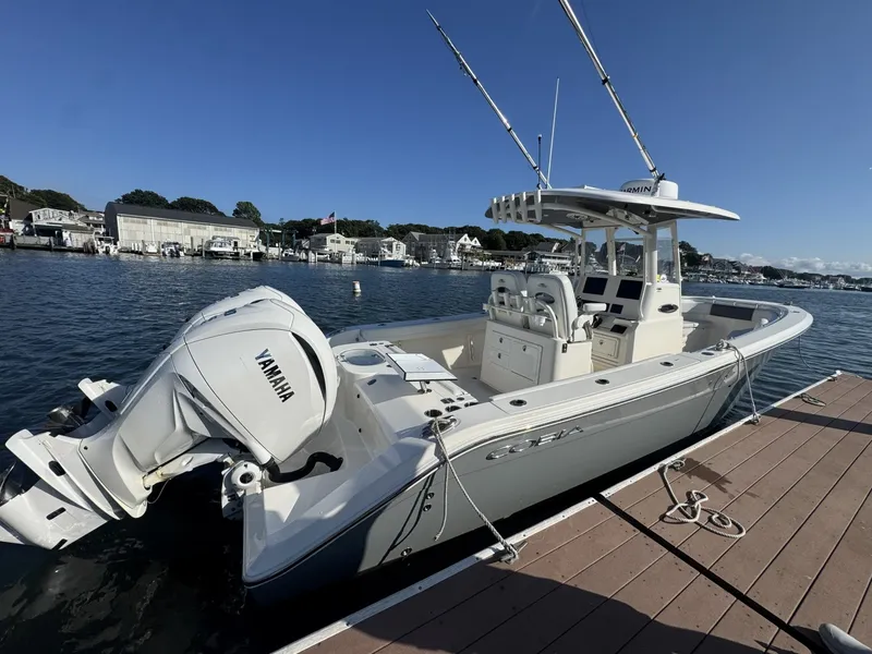 The Image of Cobia 28 2024 - 8064946