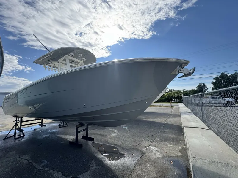 Slide: The Image of Cobia 28 2024 - 8065056