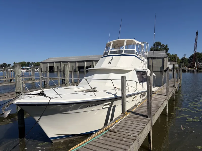 Slide: The Image of Hatteras 38 1972 - 8136460