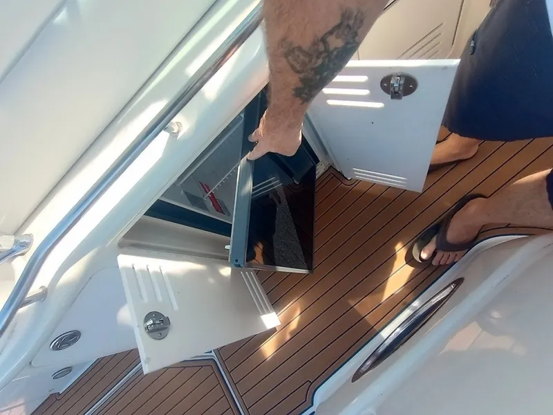 Slide: The Image of 0005913666 - 8143431