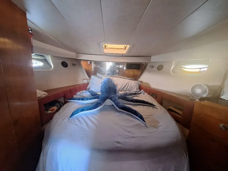 Slide: The Image of Birchwood 44TS Motor Yacht 1988 - 8144445