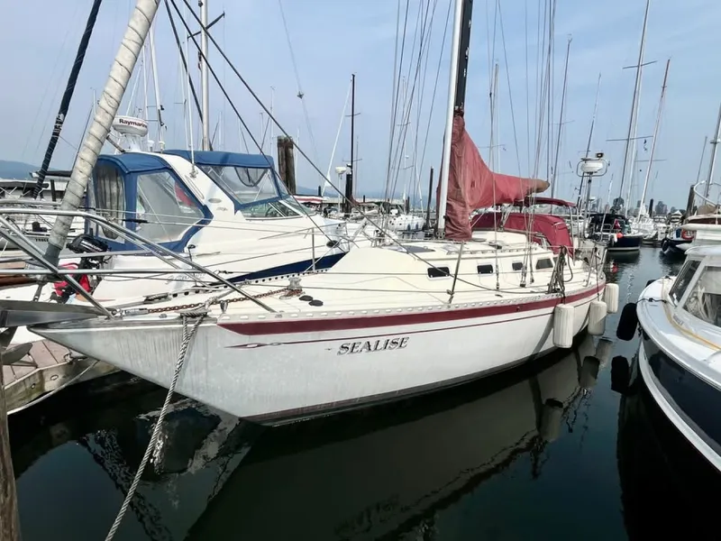 Slide: The Image of 1981 Islander 36 - 8166802