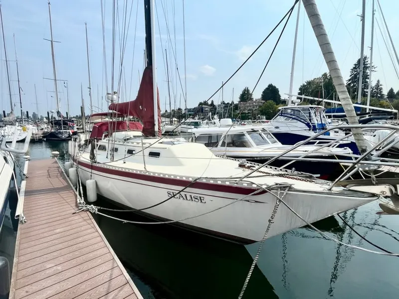 The Image of 1981 Islander  36 - 8166801