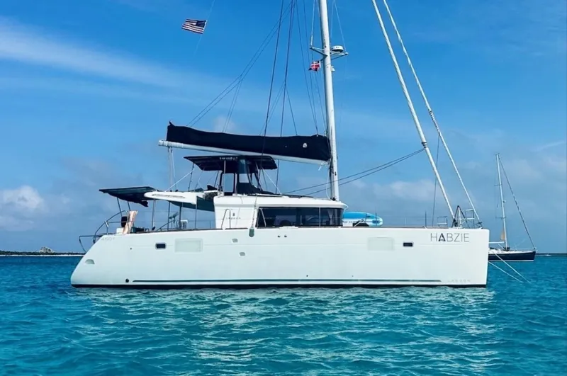The Image of Lagoon 450 F 2019 - undefined