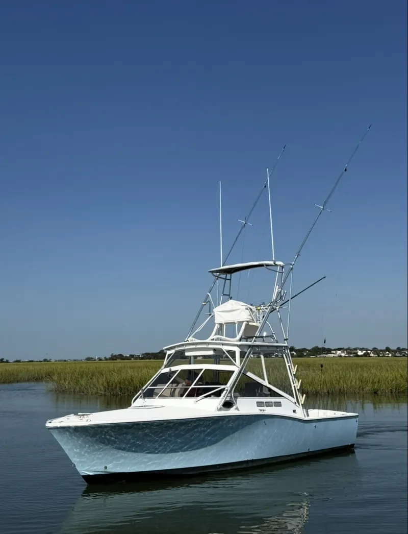 Slide: The Image of Custom Carolina 26 1996 - 8170326