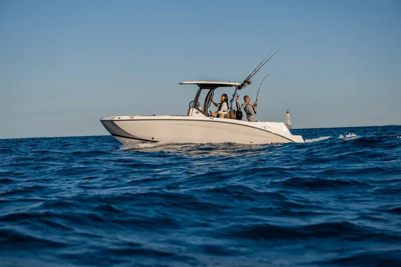 Slide: The Image of Yamaha 255 FSH Sport H 2025 - 1