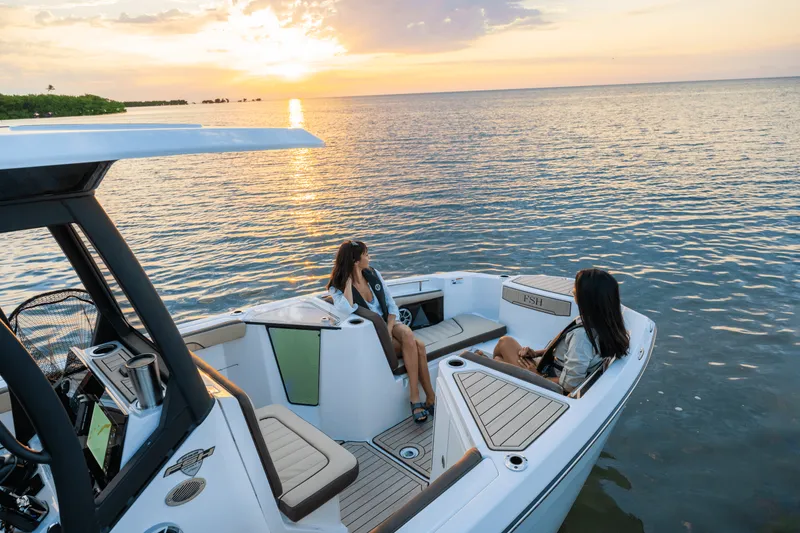 Slide: The Image of Yamaha 255 FSH Sport H 2025 - 41