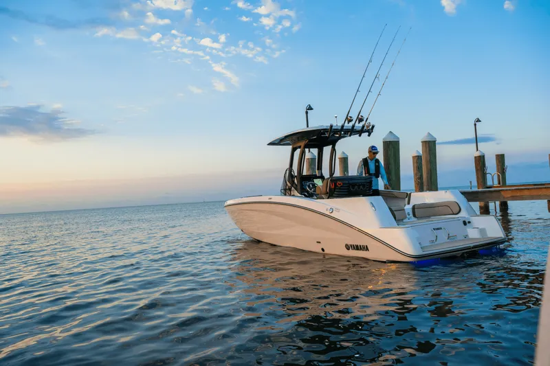 Slide: The Image of Yamaha 255 FSH Sport H 2025 - 42