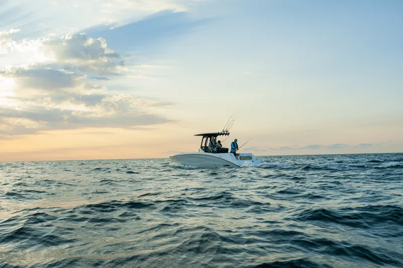 Slide: The Image of Yamaha 255 FSH Sport H 2025 - 47
